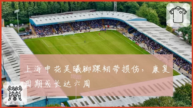 上海申花吴曦脚踝韧带损伤,康复周期或长达六周