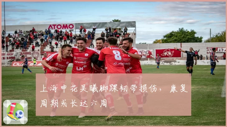 上海申花吴曦脚踝韧带损伤,康复周期或长达六周